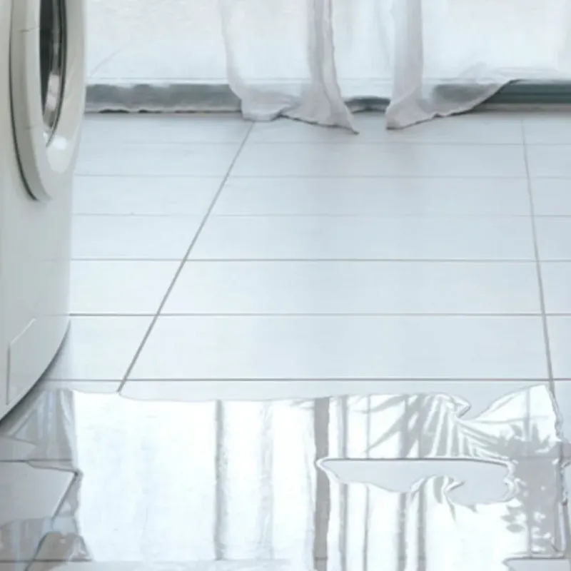 Appliance Leak Cleanup in Dansville, NY
