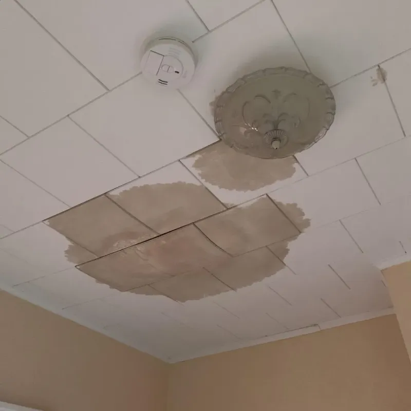 Ceiling Water Damage Repair in Dansville, NY