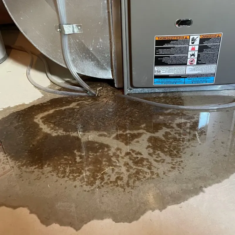 Pipe Burst and Leak Restoration in Dansville, NY