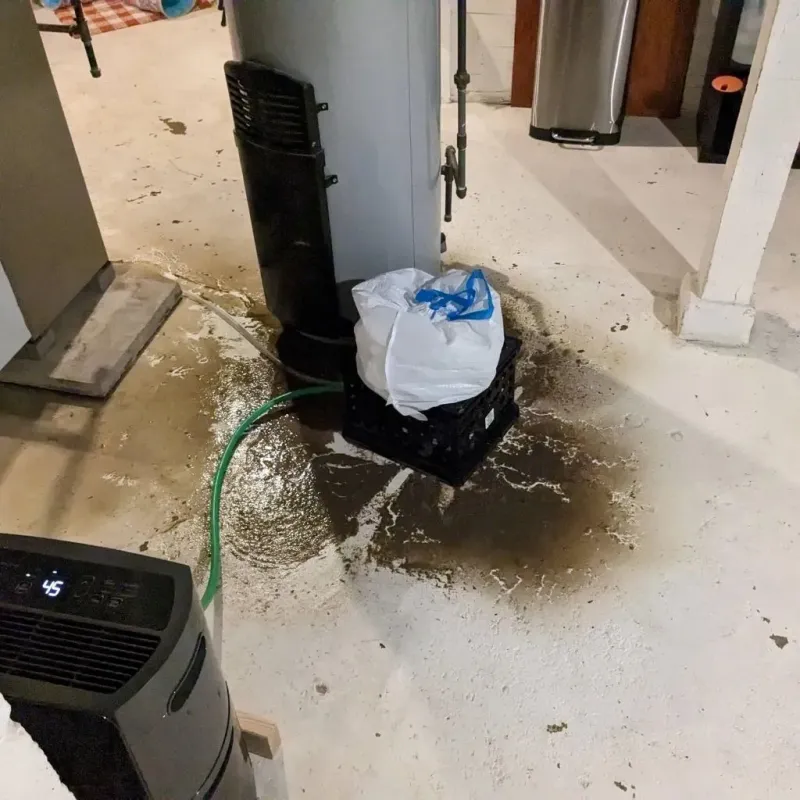 Sewage Backup Cleanup Service in Dansville, NY